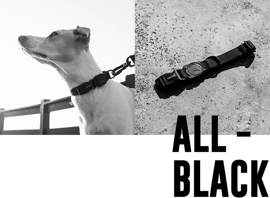 Collar para perros Modelo "Gotham" Zeedog® - Imagen 3