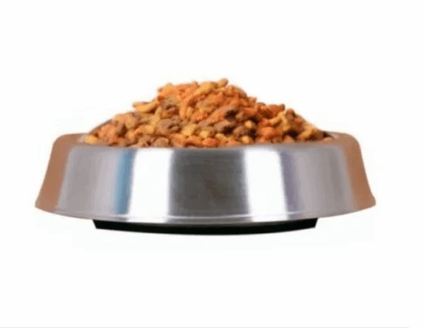 PLATO ACERO INOX ANTI-HORMIGA Wonder dog